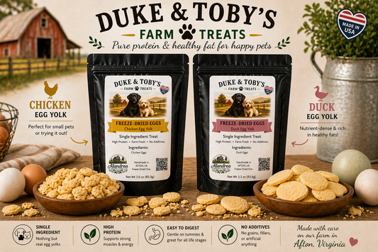 Freeze-Dried Egg Yolk Dog Treats | Single Ingredient | Made in Virginia