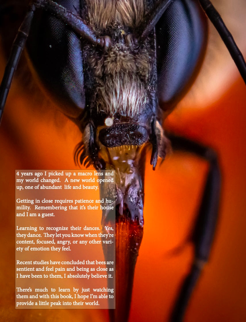 Bee-Yond Volume 1