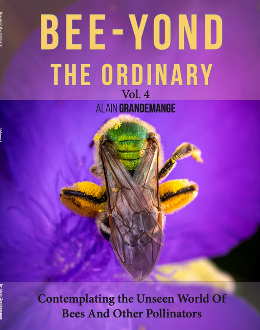 Bee-yond the Ordinary: Volume 4