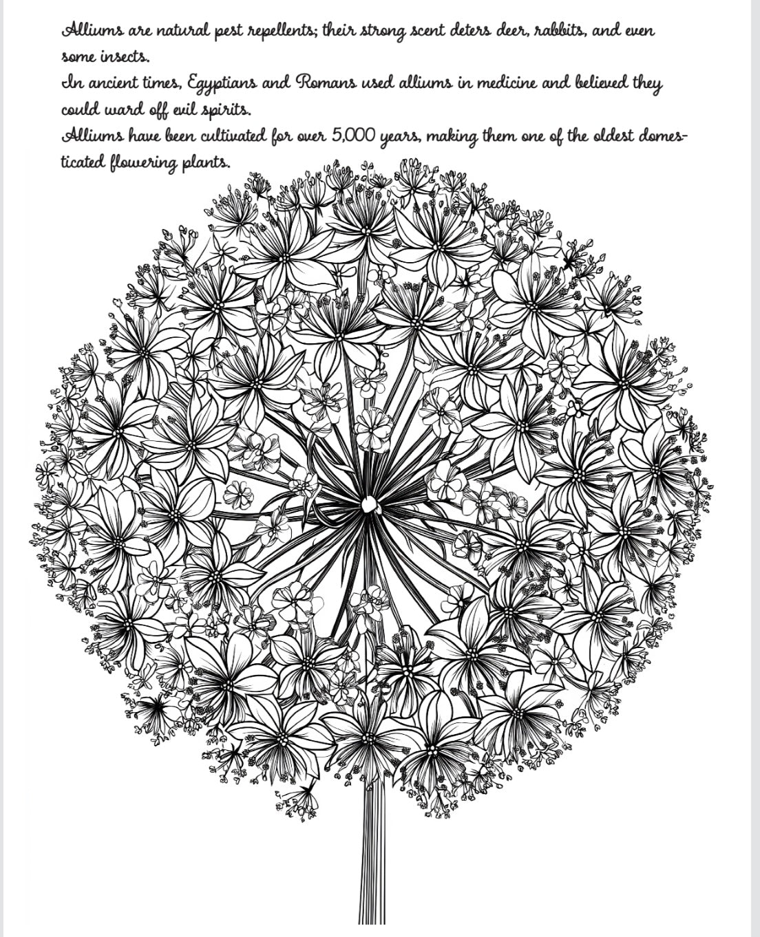 Bloom Volume 2