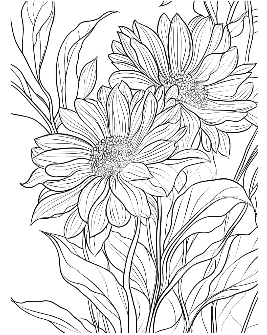 Bloom Volume 2