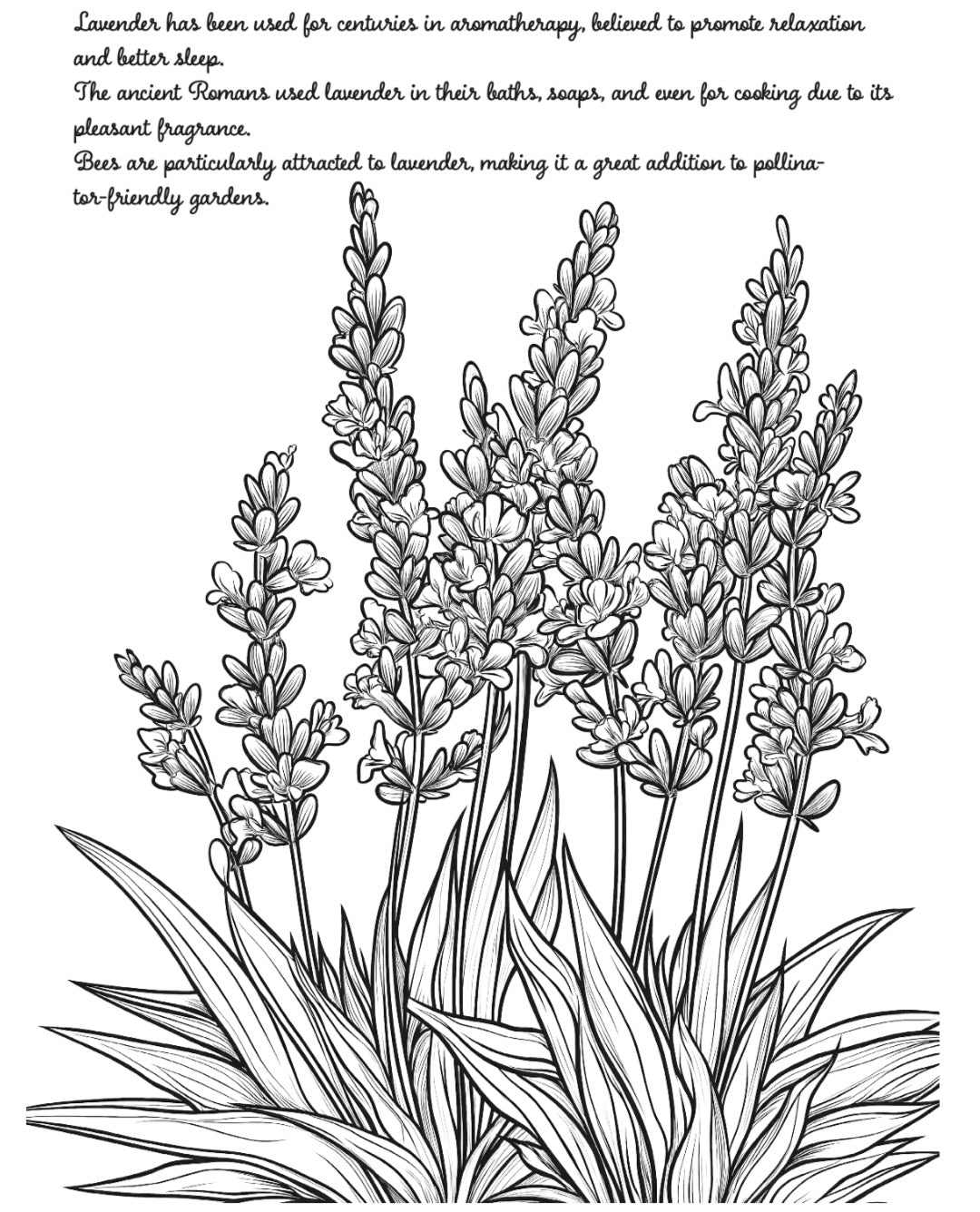 Bloom Volume 2