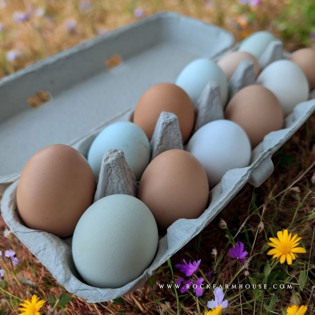 Farm Fresh Eggs