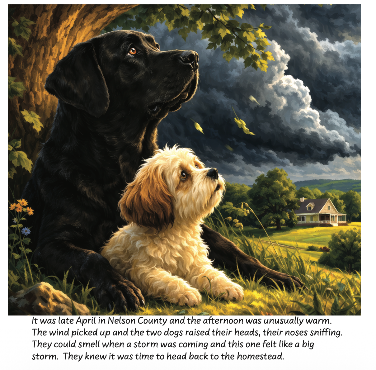 Duke and Toby and the Tree on the Hill